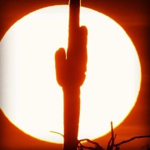 Meet your Posher, Paul